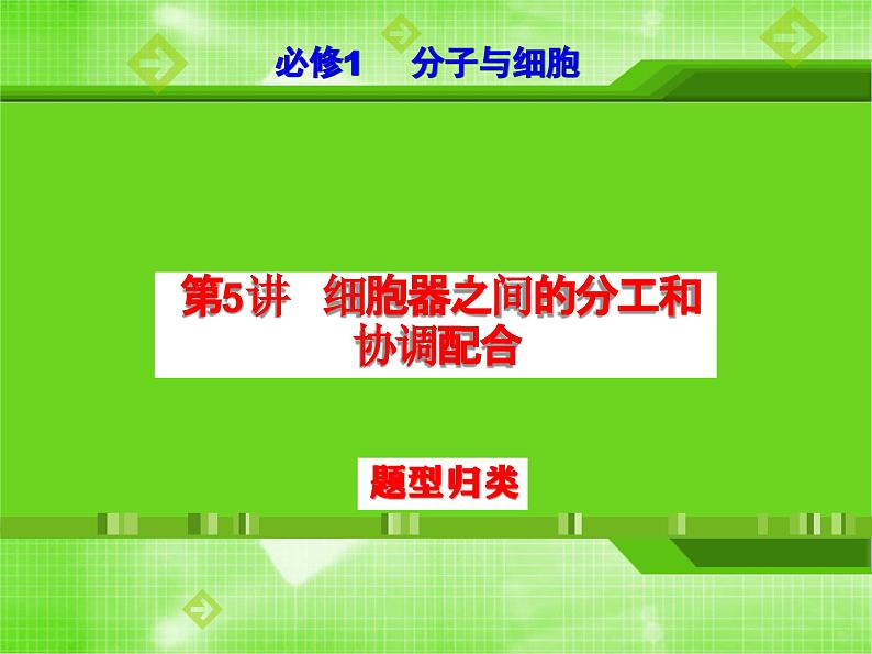 第5讲 细胞器之间的分工和协调配合(题型归类)-【一轮精讲】备战2024年高考生物一轮复习课件精讲和题型归纳第1页