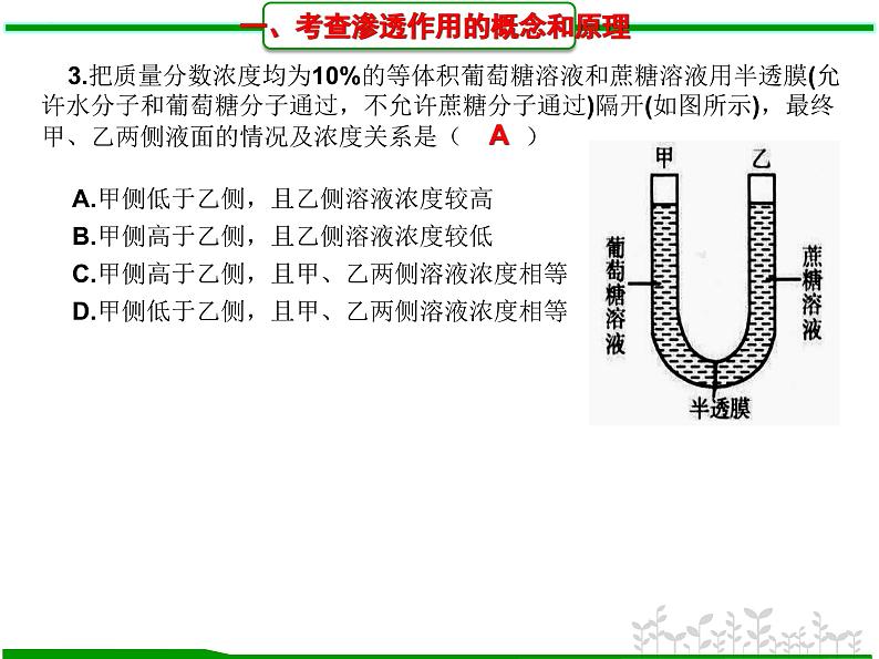 第7讲 细胞的物质输入和输出(题型归类)-【一轮精讲】备战2024年高考生物一轮复习课件精讲和题型归纳第4页