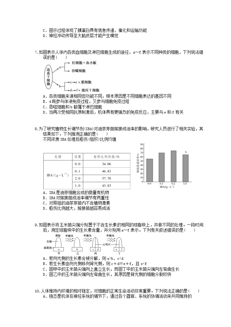 高考生物 三轮冲刺练习 生命活动的调节 一(20题含答案解析)02