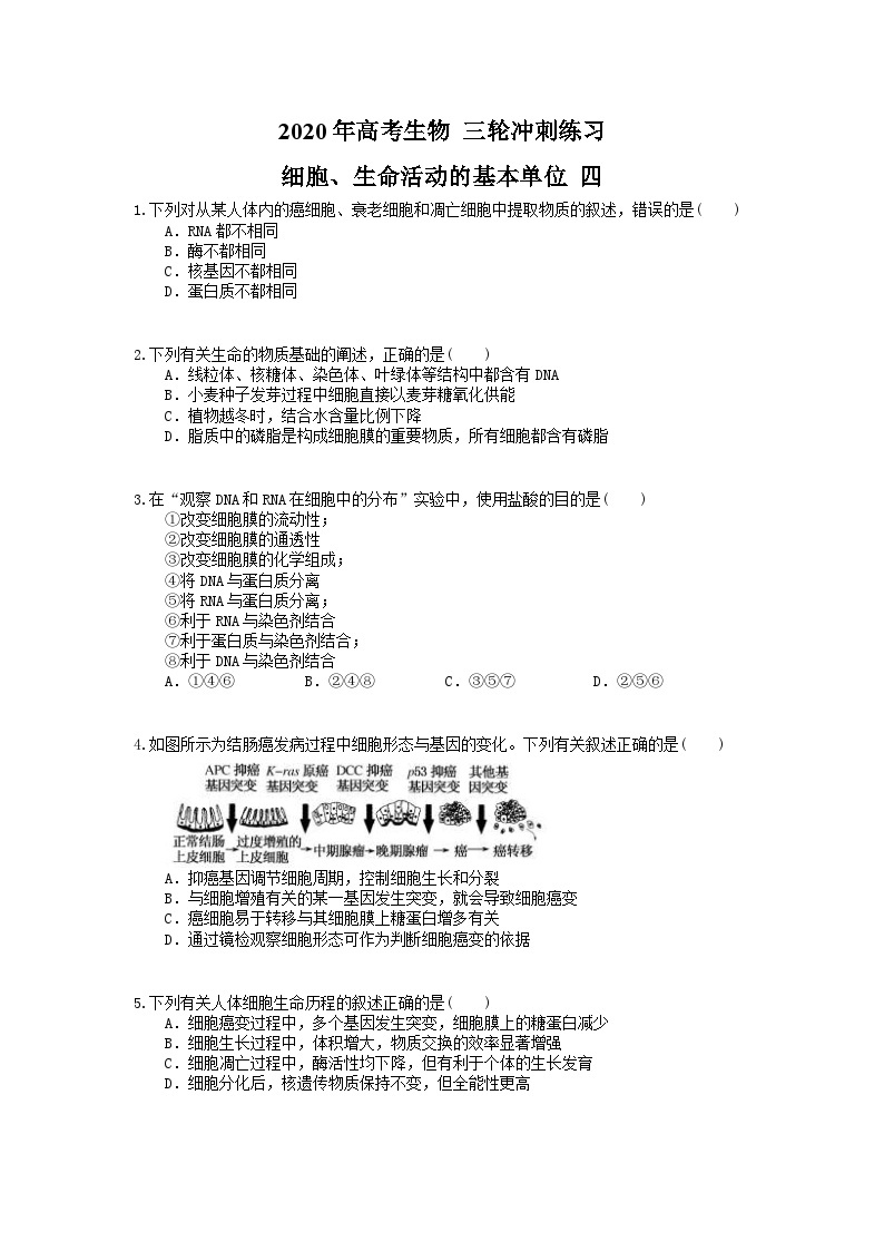 高考生物 三轮冲刺练习 细胞、生命活动的基本单位 四(20题含答案解析)01