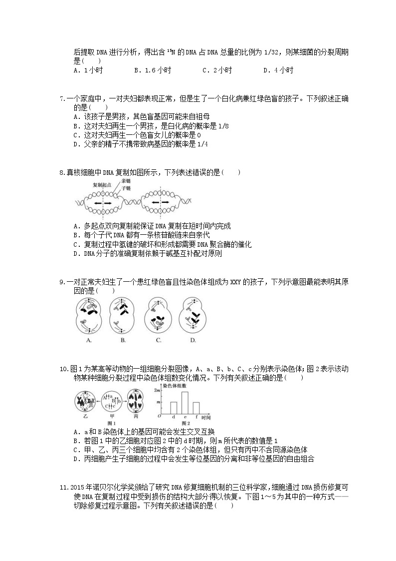 高考生物 三轮冲刺练习 遗传、变异和进化 五(20题含答案解析)02