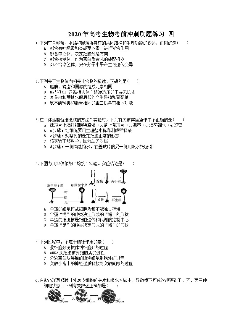 高考生物考前冲刺刷题练习 四(含答案解析)第1页
