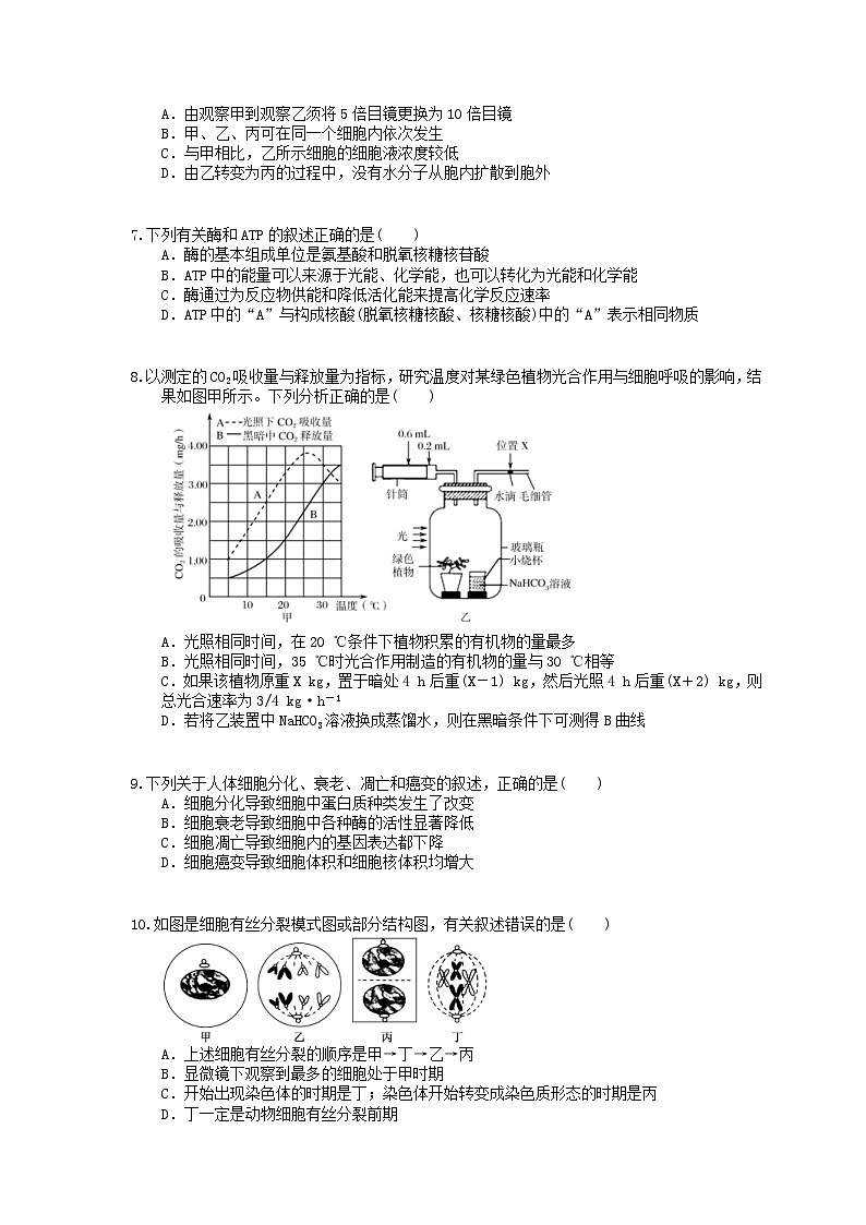 高考生物考前冲刺刷题练习 四(含答案解析)第2页