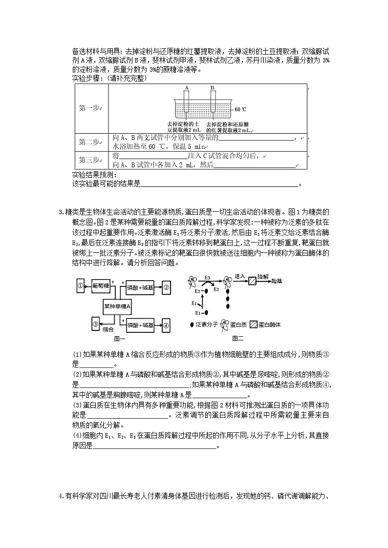 高考生物考前冲刺 考前天天练 十(含答案解析)第2页