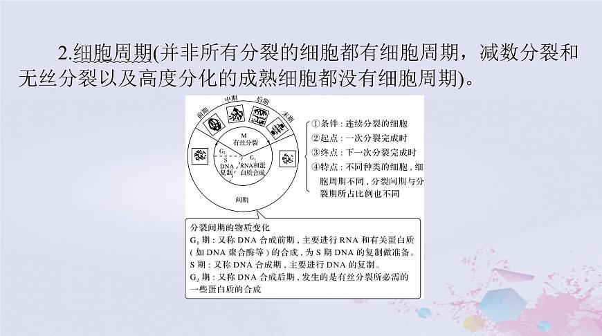 2024屆高考生物一輪總復(fù)習(xí)必修1第6章細(xì)胞的生命歷程第1節(jié)細(xì)胞的增殖課件第5頁