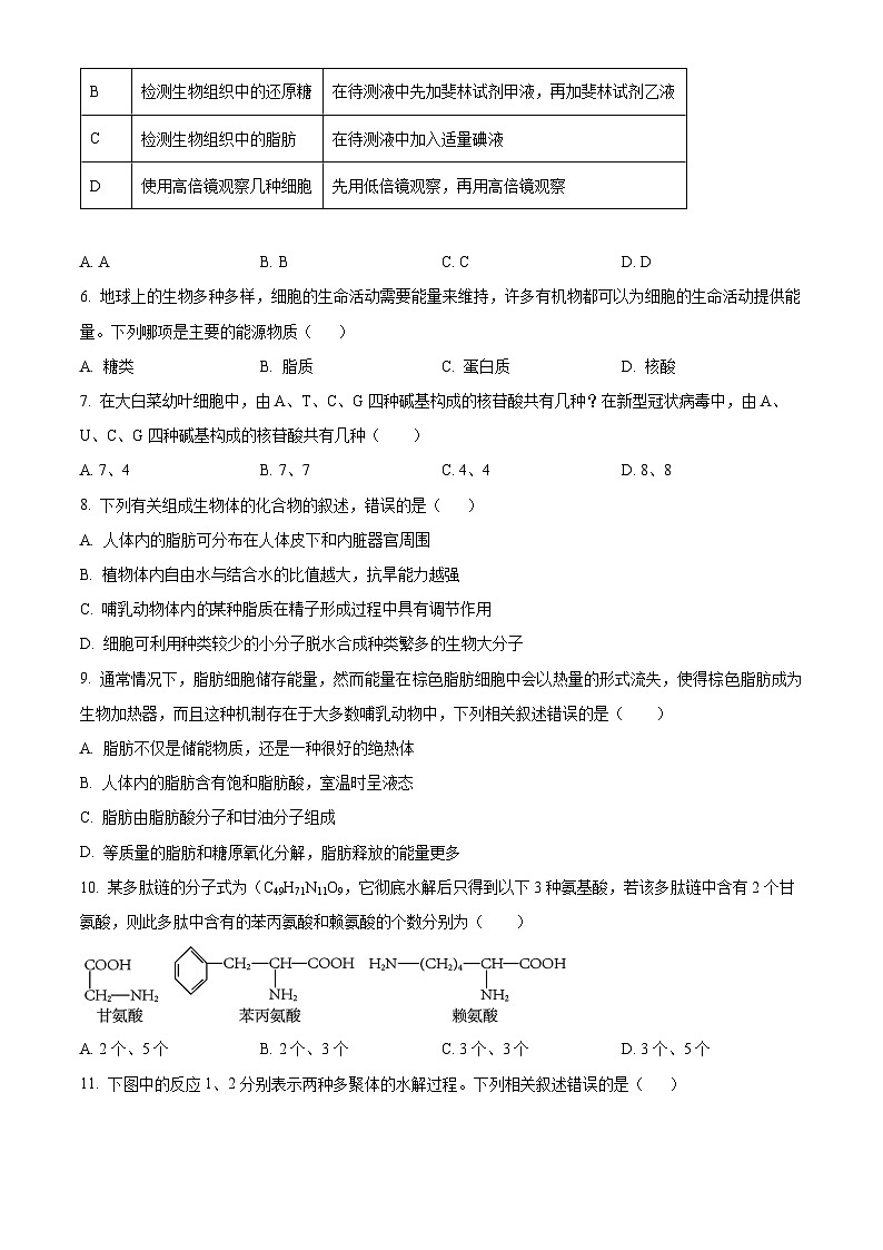 2023晋城部分学校高一上学期期中生物试题含解析02
