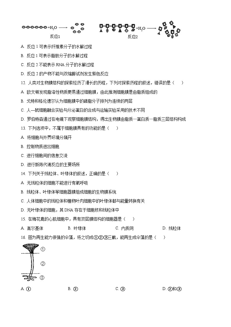 2023晋城部分学校高一上学期期中生物试题含解析03