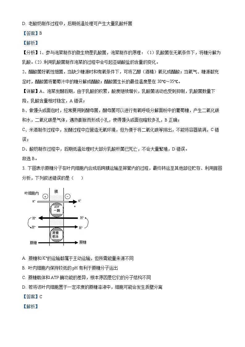 重庆市西南大学附中2022-2023学年高三生物上学期11月期中试题(Word版附解析)第2页