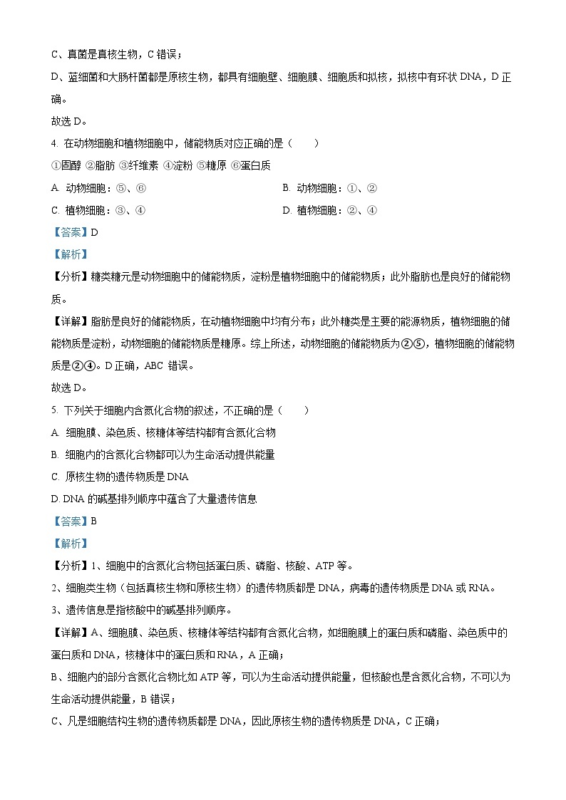 四川省遂宁市射洪中学2022-2023学年高一生物上学期（强基班）11月期中试题（Word版附解析）03