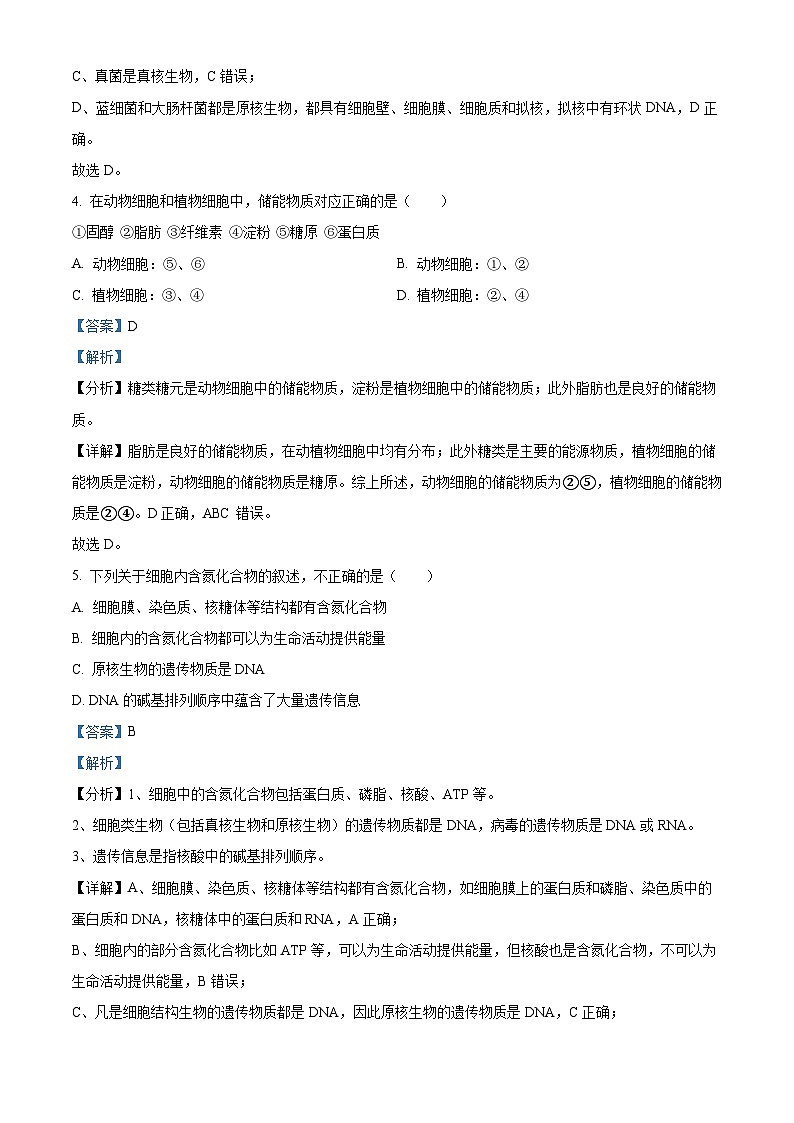 四川省遂宁市射洪中学2022-2023学年高一生物上学期(强基班)11月期中试题(Word版附解析)03