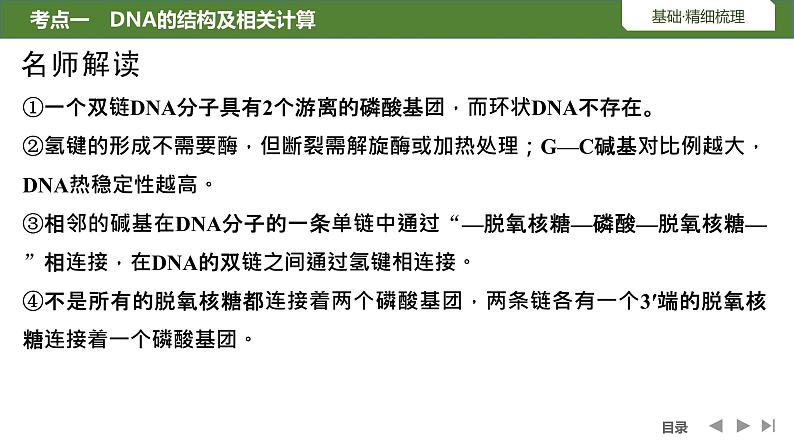 2024年高考生物大一轮必修2复习课件:第23讲 DNA的结构、复制及基因的本质第7页