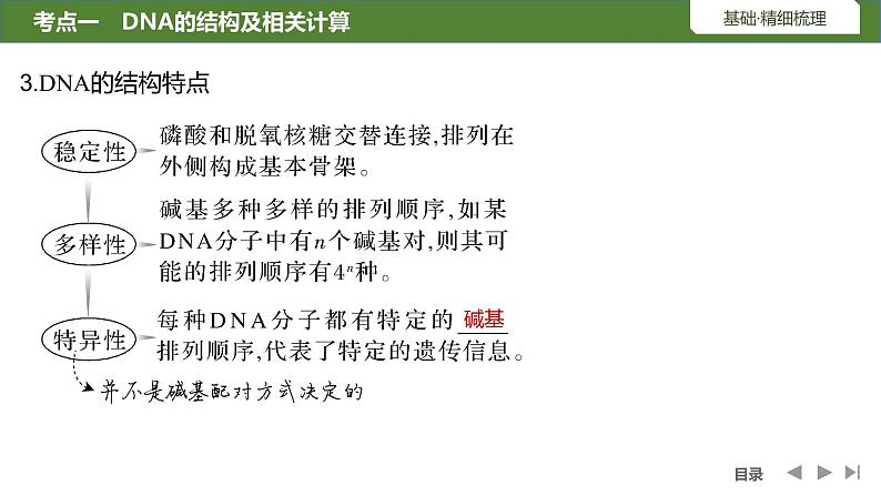 2024年高考生物大一轮必修2复习课件:第23讲 DNA的结构、复制及基因的本质第8页