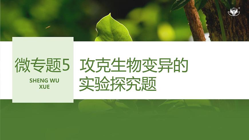 2024年高考生物大一輪必修2復(fù)習(xí)課件:微專(zhuān)題5 攻克生物變異的實(shí)驗(yàn)探究題第1頁(yè)