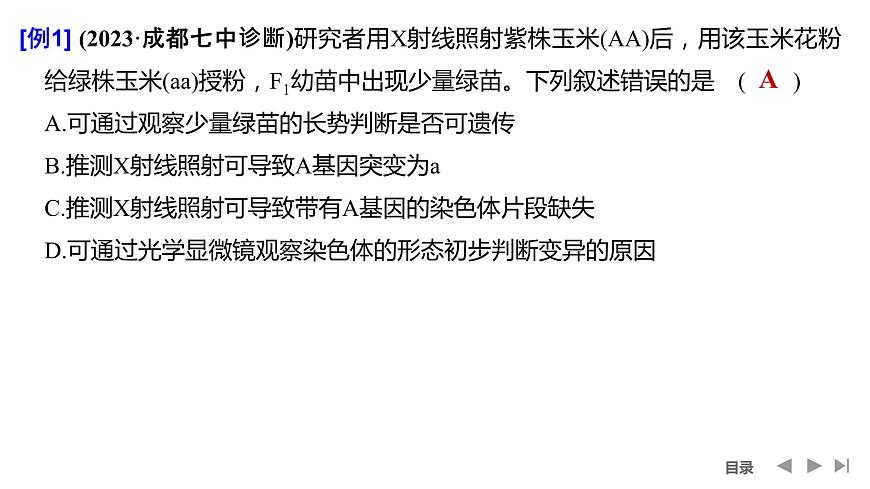 2024年高考生物大一輪必修2復(fù)習(xí)課件:微專(zhuān)題5 攻克生物變異的實(shí)驗(yàn)探究題第3頁(yè)