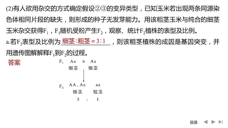 2024年高考生物大一輪必修2復(fù)習(xí)課件:微專(zhuān)題5 攻克生物變異的實(shí)驗(yàn)探究題第6頁(yè)
