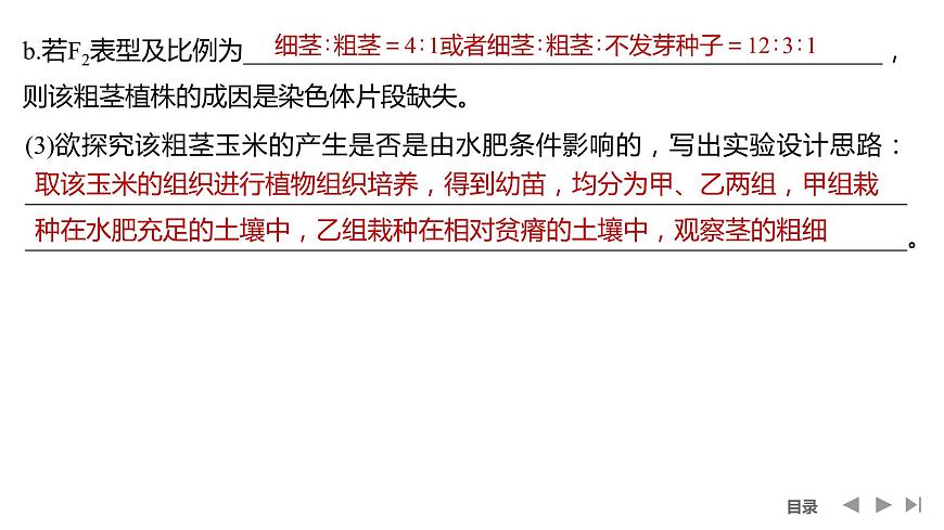 2024年高考生物大一輪必修2復(fù)習(xí)課件:微專(zhuān)題5 攻克生物變異的實(shí)驗(yàn)探究題第7頁(yè)