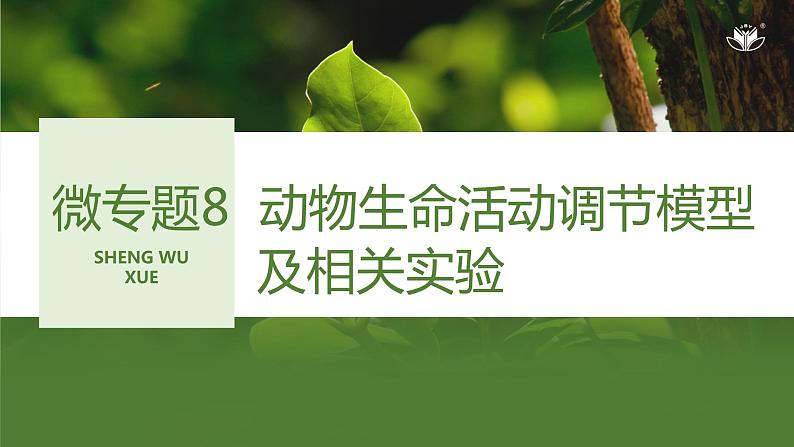 2024年高考生物大一轮选择性必修1复习课件:微专题8 动物生命活动调节模型及相关实验第1页