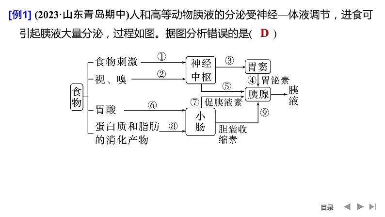 2024年高考生物大一轮选择性必修1复习课件:微专题8 动物生命活动调节模型及相关实验第3页