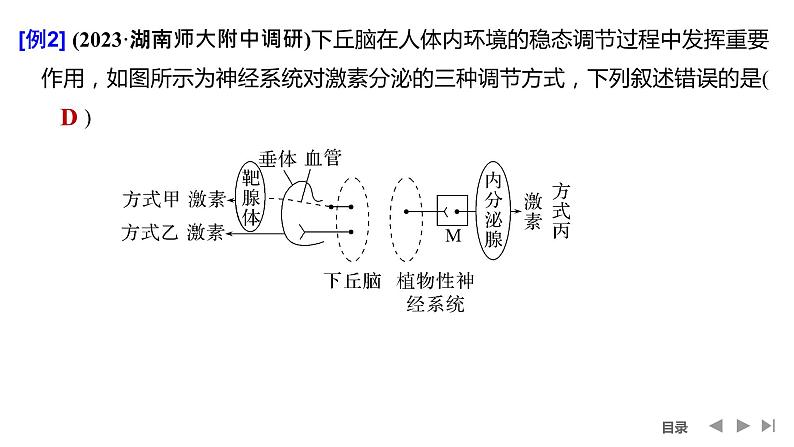 2024年高考生物大一轮选择性必修1复习课件:微专题8 动物生命活动调节模型及相关实验第6页