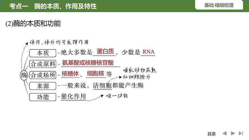 2024年高中生物大一輪復習必修一課件:第7講 酶和ATP第6頁
