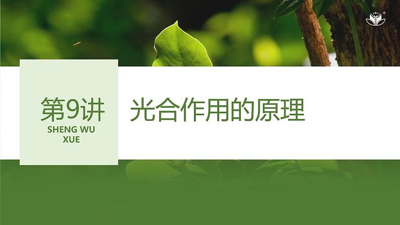 2024年高中生物大一轮复习必修一课件:第9讲 光合作用的原理第1页