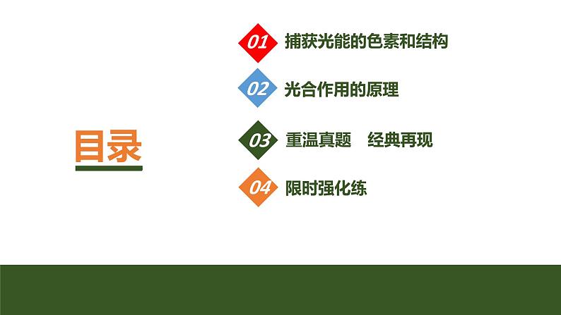 2024年高中生物大一轮复习必修一课件:第9讲 光合作用的原理第3页