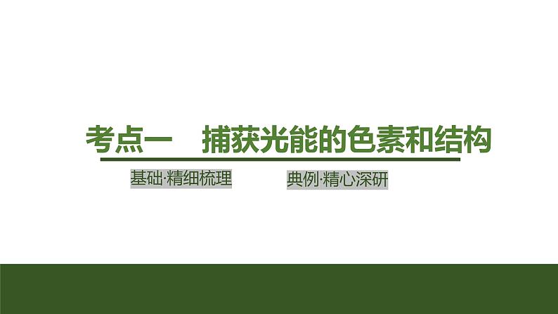 2024年高中生物大一轮复习必修一课件:第9讲 光合作用的原理第4页