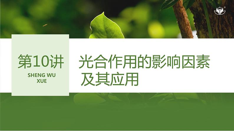 2024年高中生物大一轮复习必修一课件:第10讲 光合作用的影响因素及其应用第1页