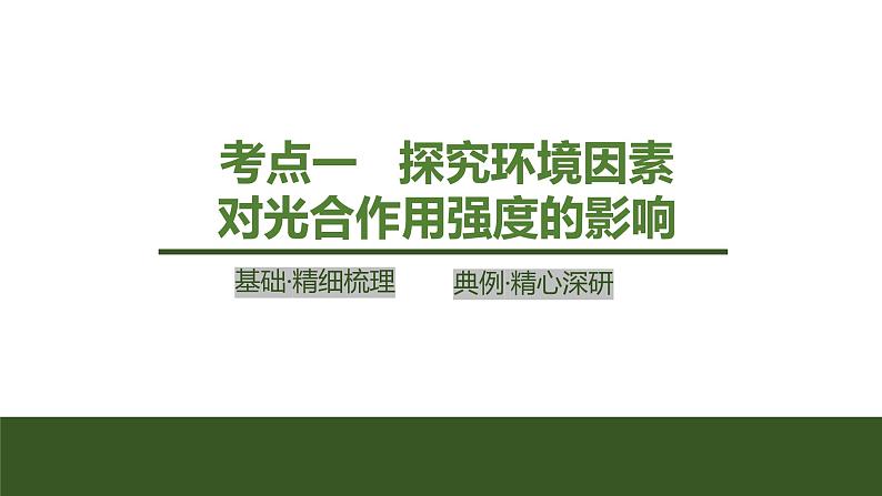 2024年高中生物大一轮复习必修一课件:第10讲 光合作用的影响因素及其应用第4页