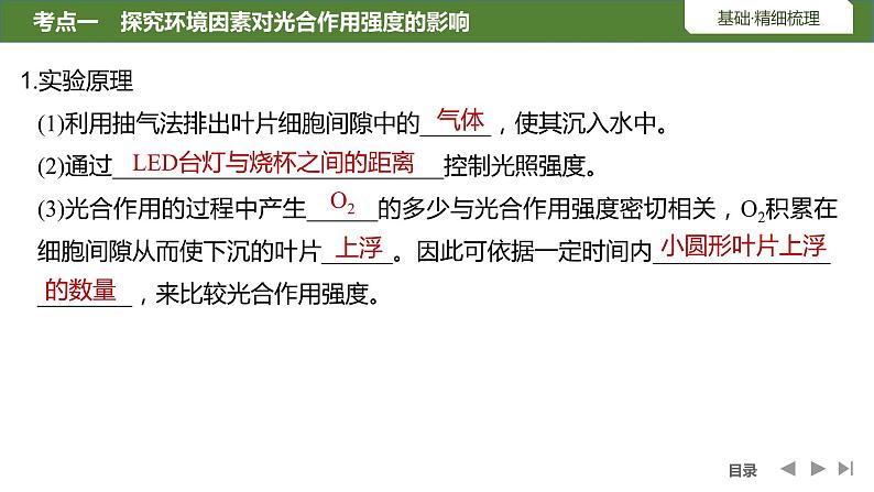 2024年高中生物大一轮复习必修一课件:第10讲 光合作用的影响因素及其应用第5页