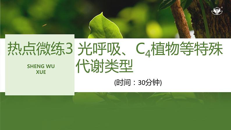 2024年高中生物大一轮复习必修一课件:热点微练3 光呼吸、C4植物等特殊代谢类型第1页