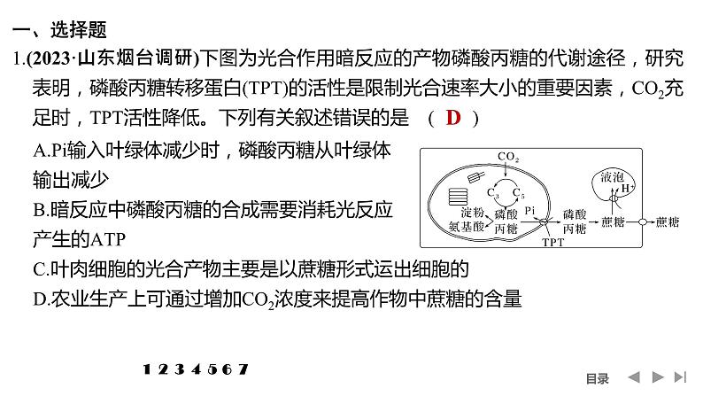 2024年高中生物大一轮复习必修一课件:热点微练3 光呼吸、C4植物等特殊代谢类型第2页