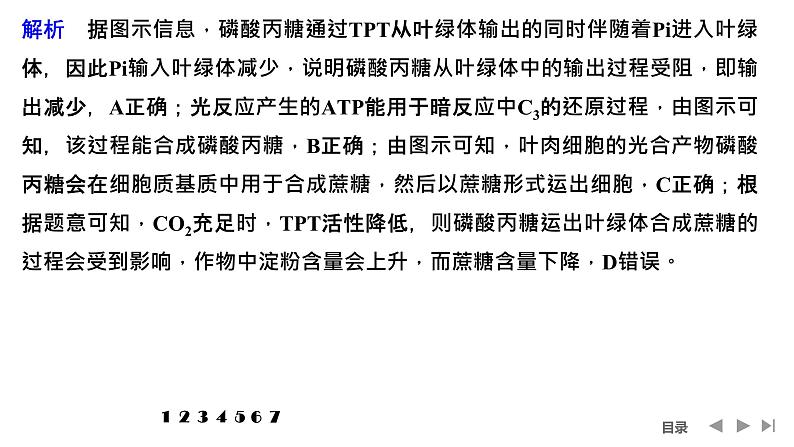 2024年高中生物大一轮复习必修一课件:热点微练3 光呼吸、C4植物等特殊代谢类型第3页