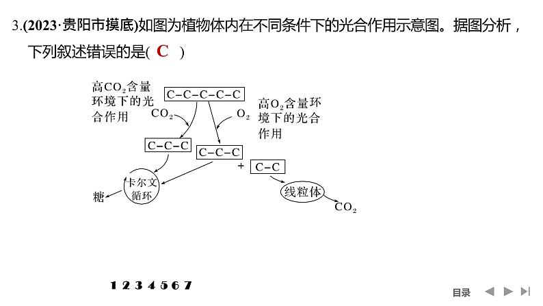 2024年高中生物大一轮复习必修一课件:热点微练3 光呼吸、C4植物等特殊代谢类型第6页