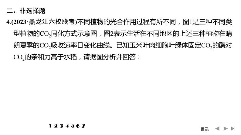 2024年高中生物大一轮复习必修一课件:热点微练3 光呼吸、C4植物等特殊代谢类型第8页