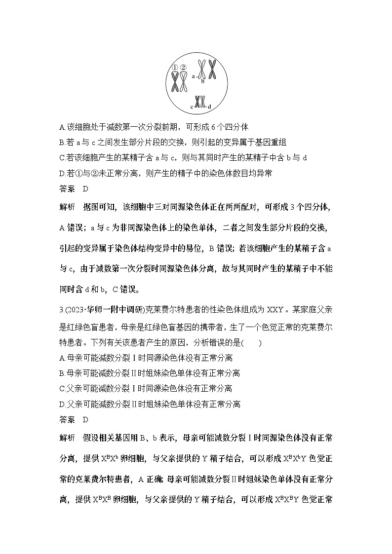 2024年高考生物大一轮必修1复习讲义::热点微练4 减数分裂与可遗传变异的关系第2页