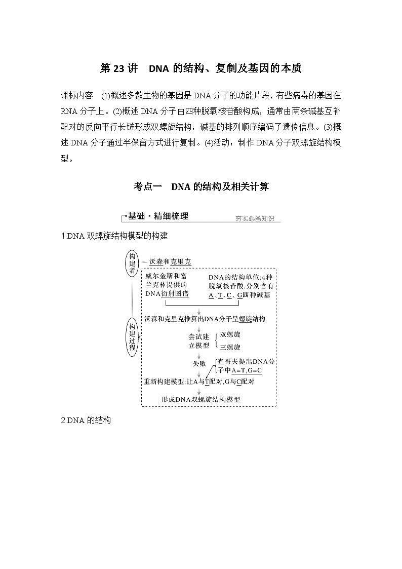 2024年高考生物大一轮必修2复习讲义::第23讲 DNA的结构、复制及基因的本质第1页