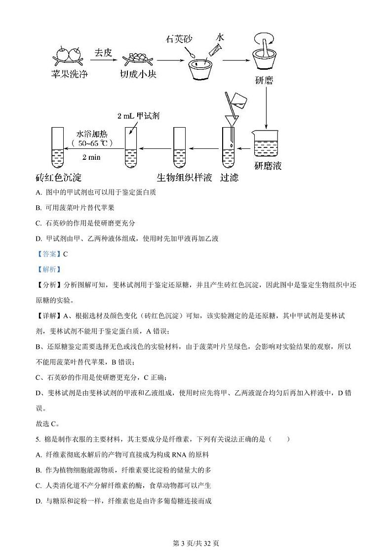 黑龙江省双鸭山市第一中学2023-2024学年高三生物上学期开学考试(8月)(PDF版附解析)第3页