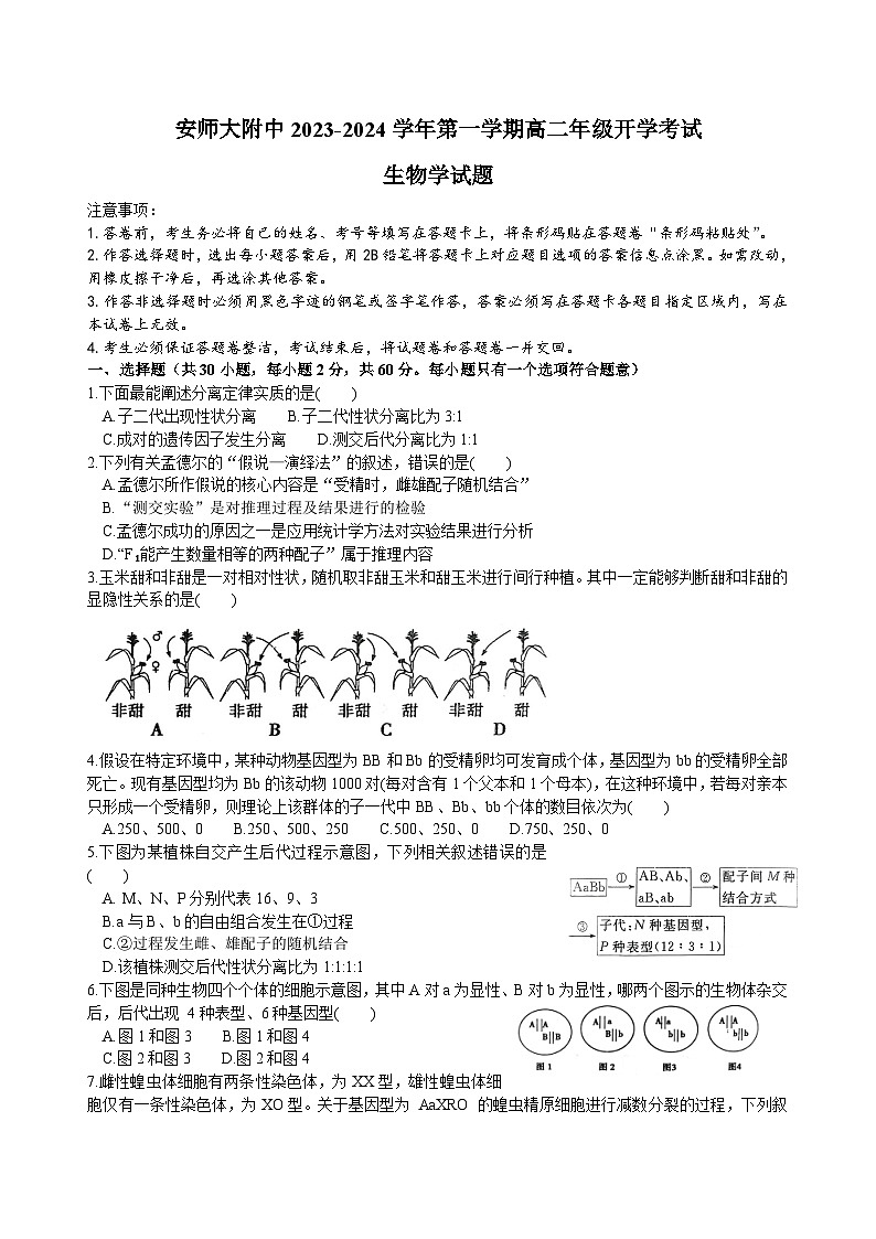 安徽师范大学附属中学2023-2024学年高二上学期开学考试生物试题01