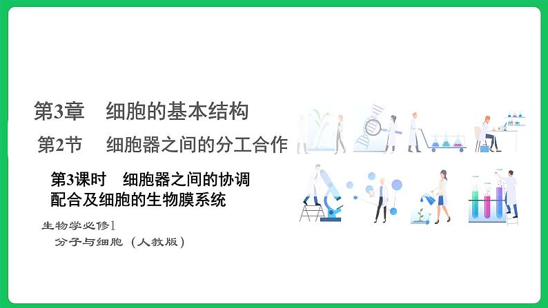 3.2.3 细胞器之间的分工合作 第3课时(课件)-2023-2024学年高一上学期生物人教版(2019)必修101