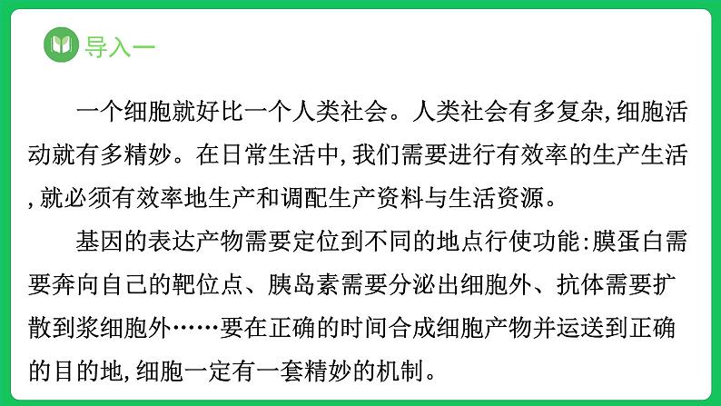 3.2.3 细胞器之间的分工合作 第3课时(课件)-2023-2024学年高一上学期生物人教版(2019)必修102