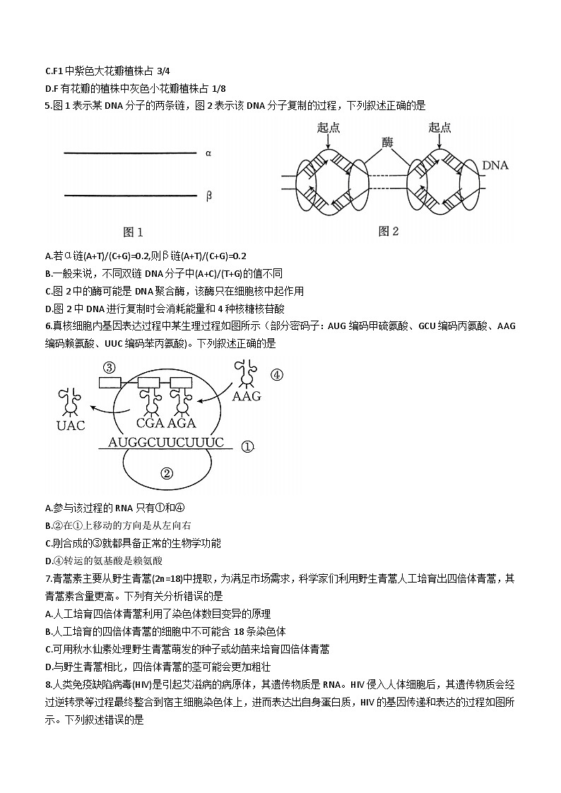 河南省创新发展联盟2023-2024学年高二上学期开学考试生物试题02