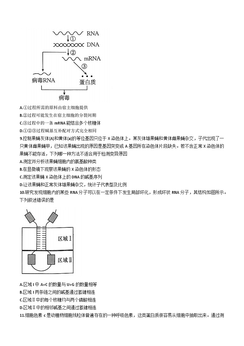 河南省创新发展联盟2023-2024学年高二上学期开学考试生物试题03