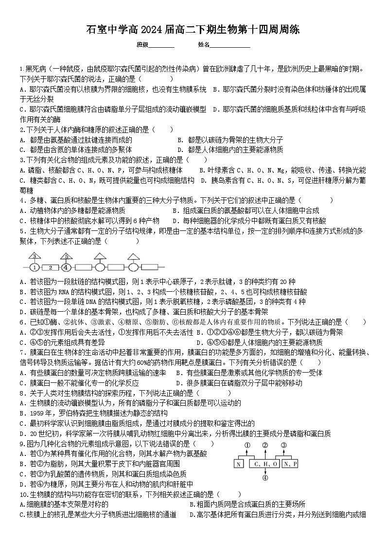 2023成都石室中学高二下学期生物周练14含答案第1页