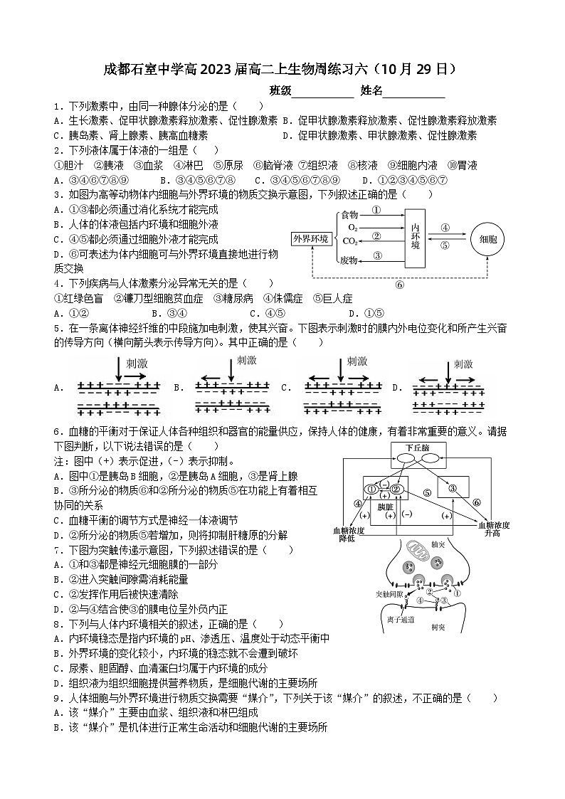 2022成都石室中学高二上学期生物周练06含答案第1页
