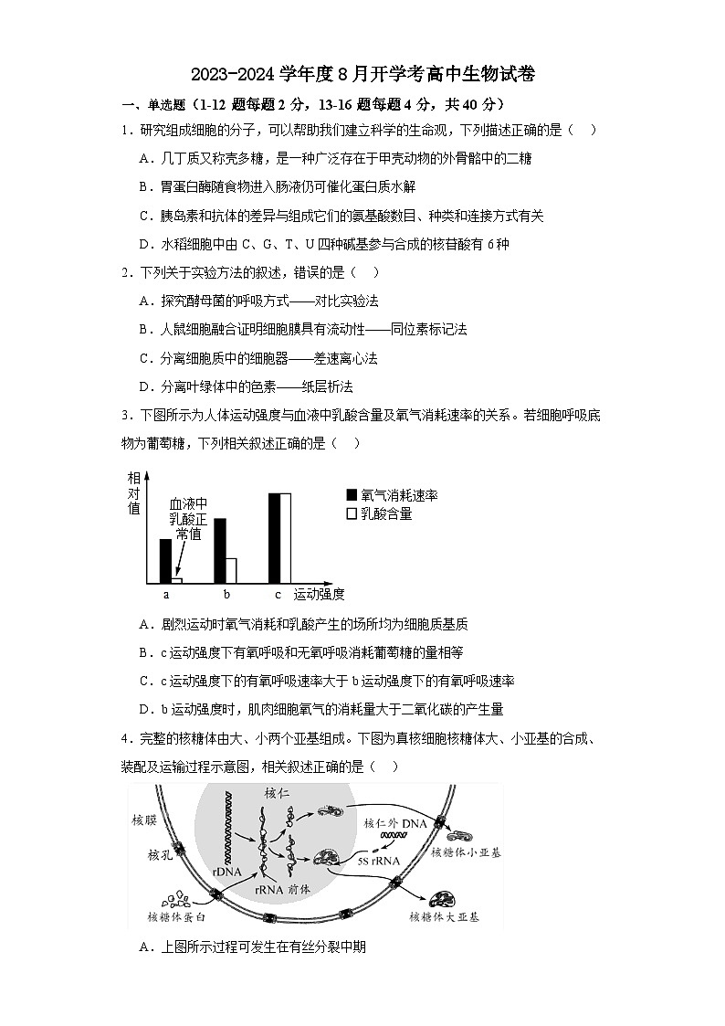 福建省华安县第一中学2023-2024学年高三上学期开学生物试题第1页
