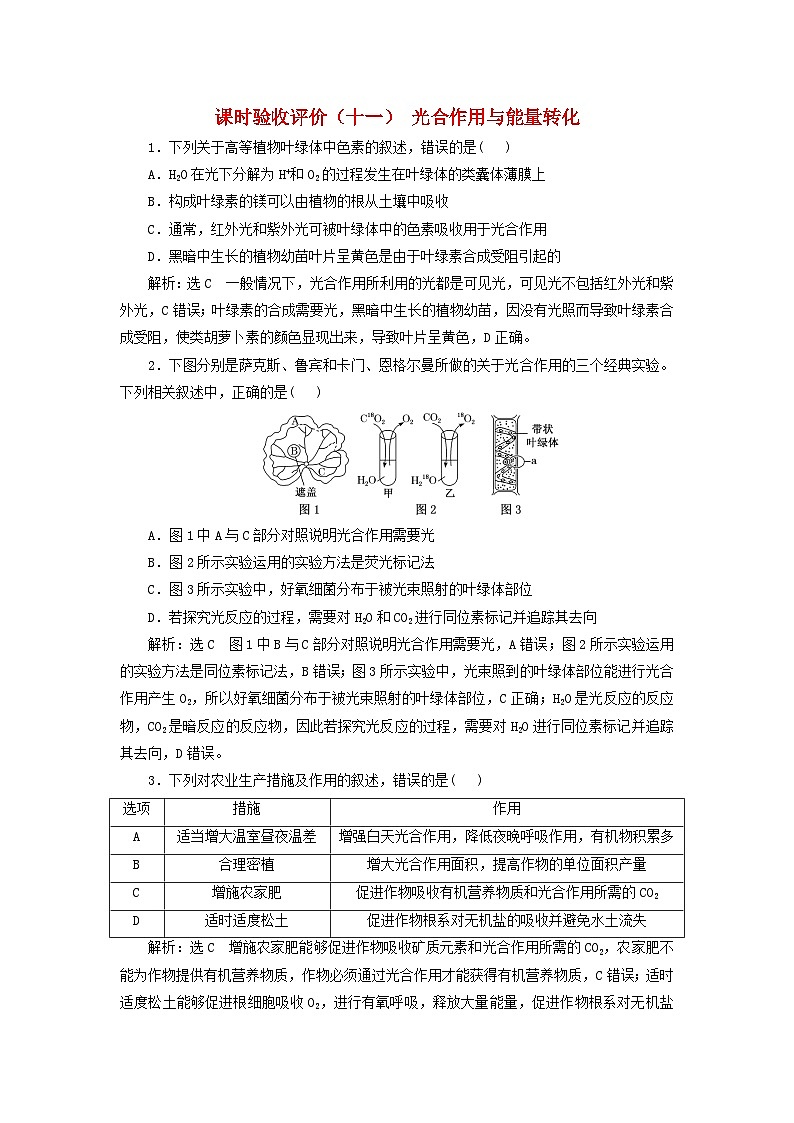 2024届高考生物一轮总复习课时验收评价十一光合作用与能量转化第1页