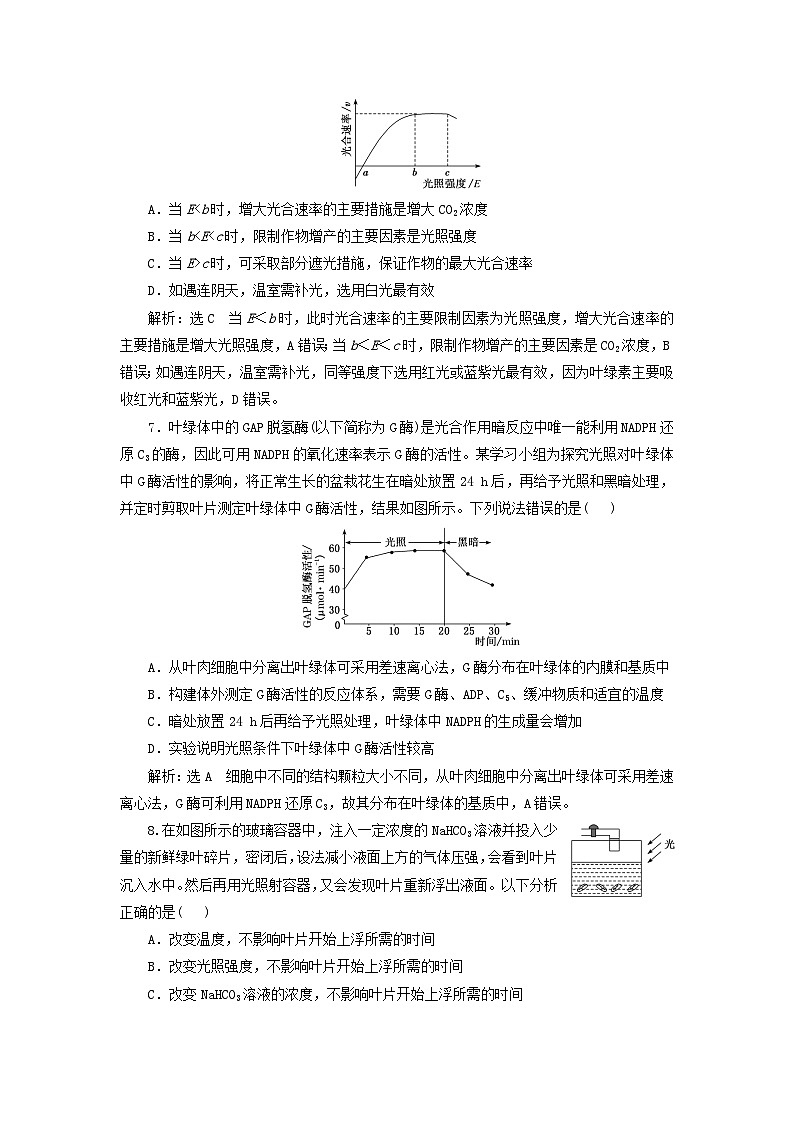 2024届高考生物一轮总复习课时验收评价十一光合作用与能量转化第3页