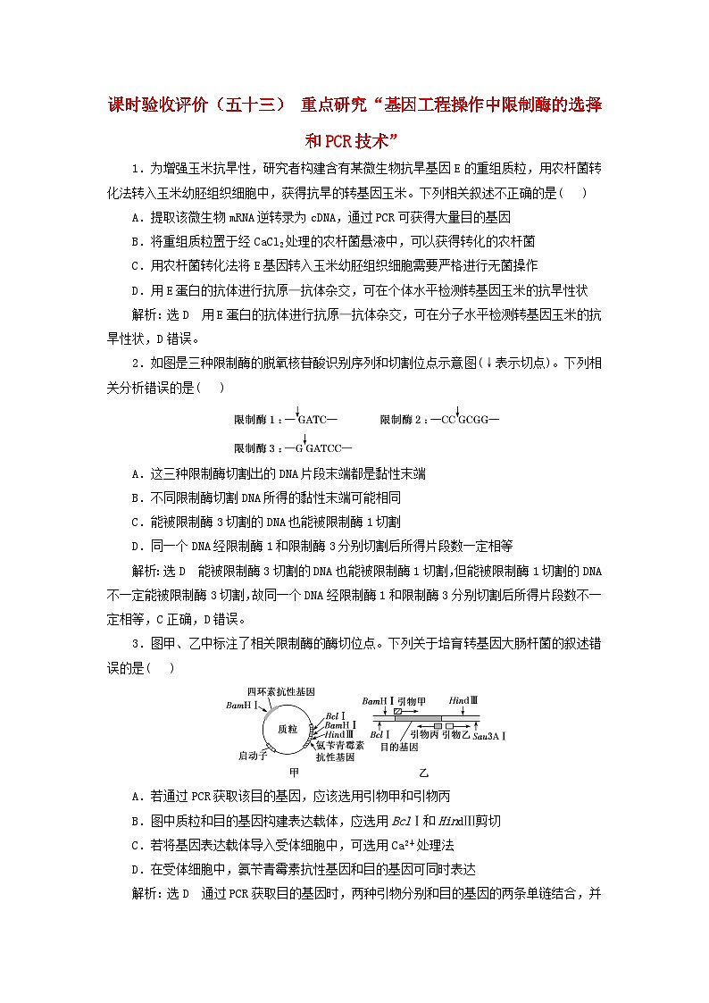 2024届高考生物一轮总复习课时验收评价五十三重点研究“基因工程操作中限制酶的选择和PCR技术”第1页