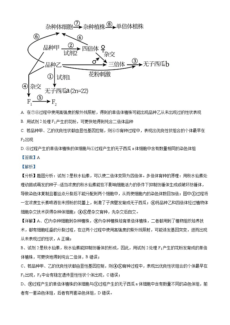 四川省绵阳市南山中学实验学校2022-2023学年高三生物上学期12月月考试题(Word版附解析)第3页